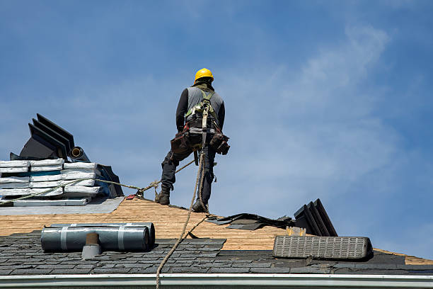 Professional Roof Replacement technician working in Pineland, TX